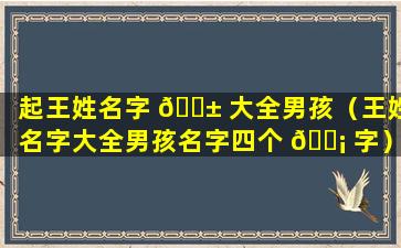 起王姓名字 🐱 大全男孩（王姓名字大全男孩名字四个 🐡 字）